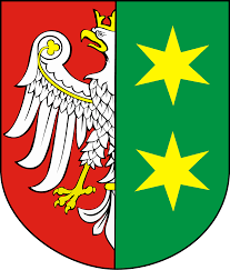 Miliony dla Witnicy
