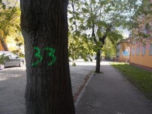 List otwarty do burmistrza Kunta