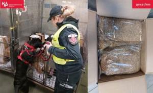 Sprawdzili ponad 200 przesyłek w zielonogórskich sortowniach