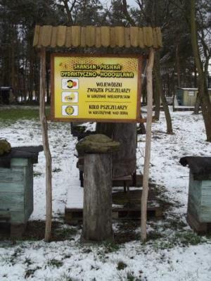 Pszczoły zimą