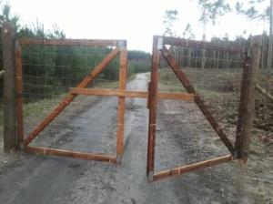 Kostrzyn walczy z ASF